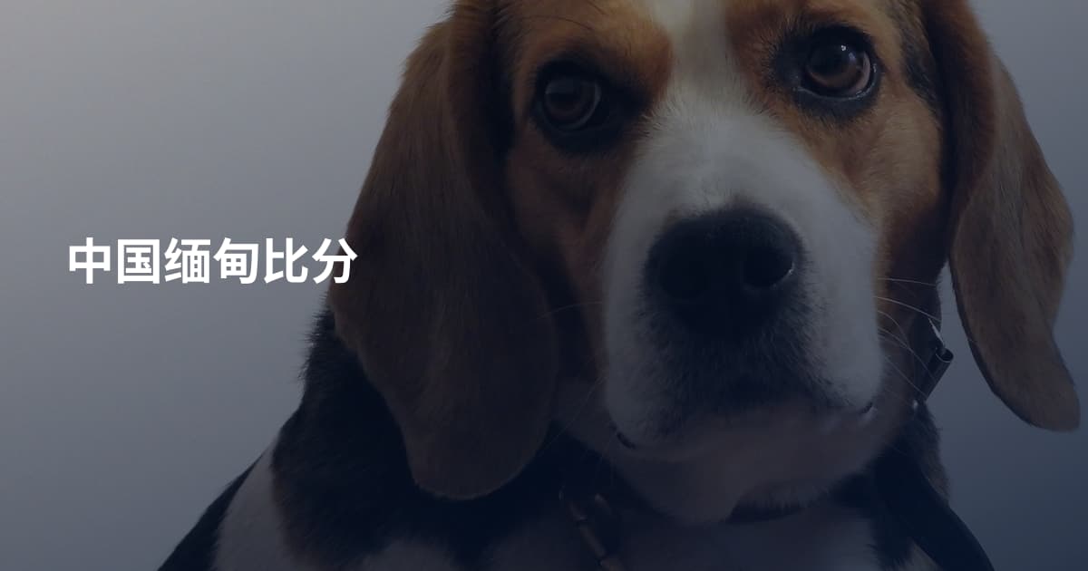 中国缅甸比分