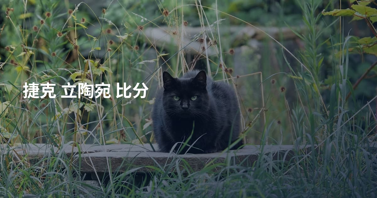 捷克 立陶宛 比分