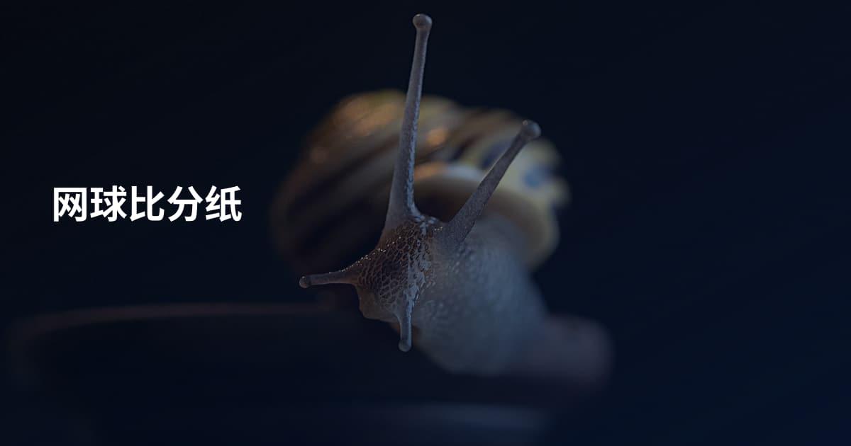 网球比分纸