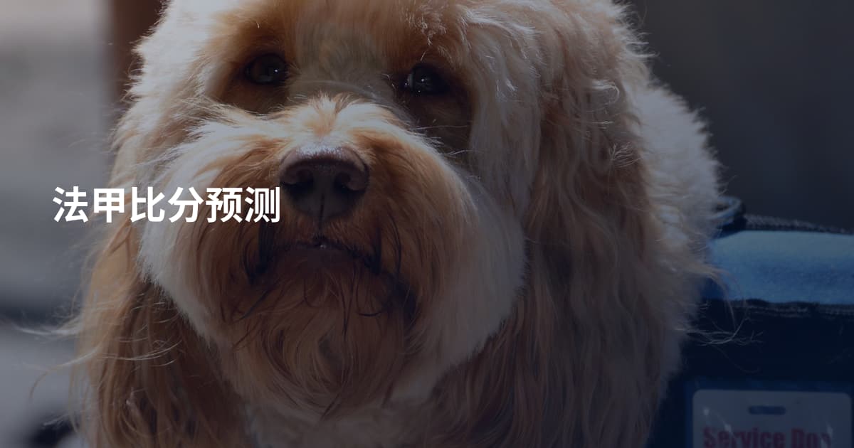 法甲比分预测