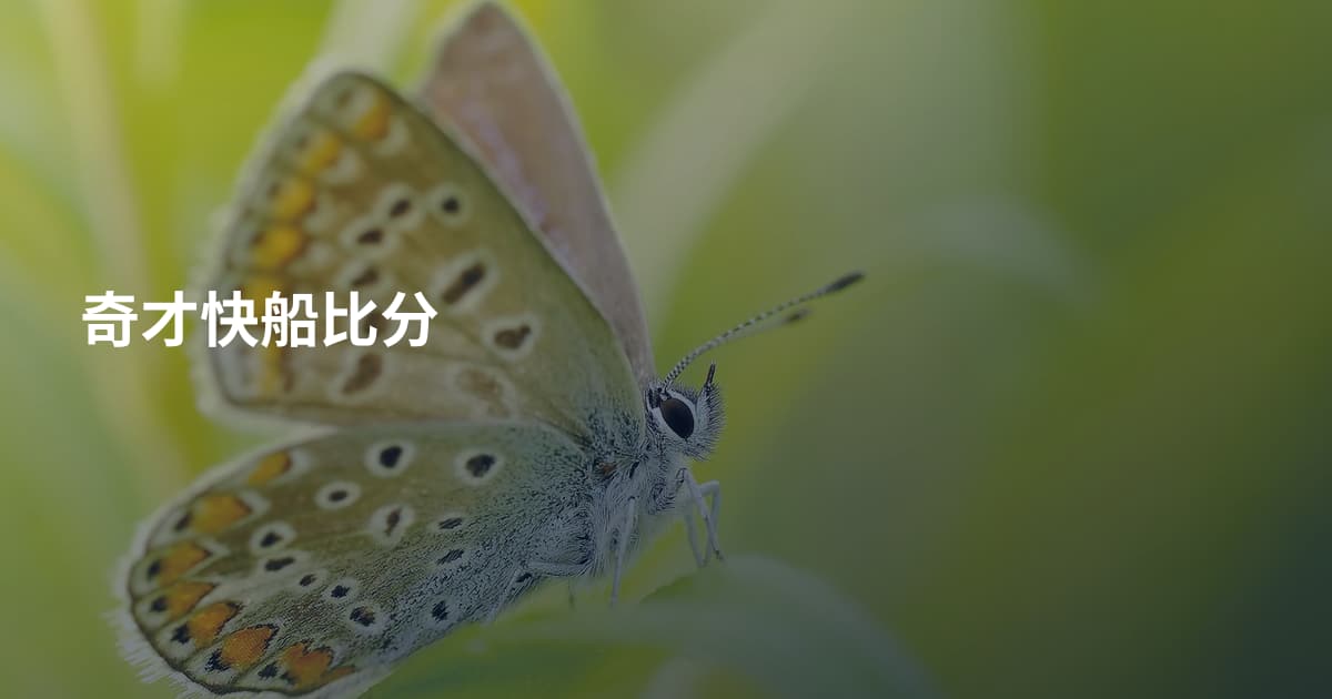 奇才快船比分