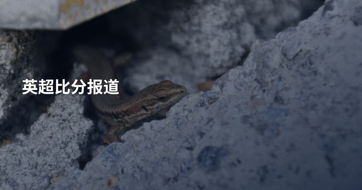 英超比分报道