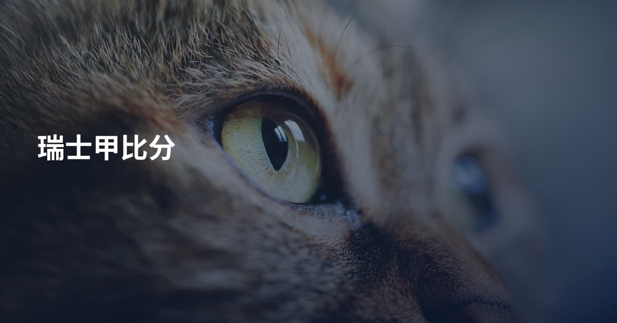 瑞士甲比分
