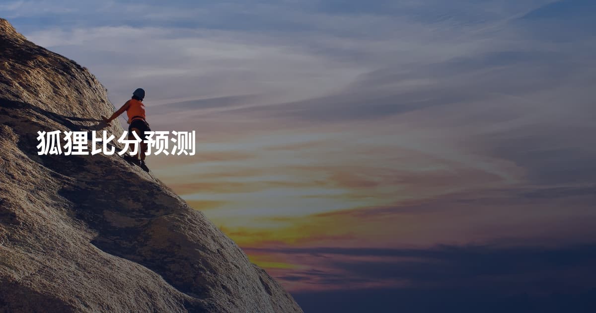 狐狸比分预测