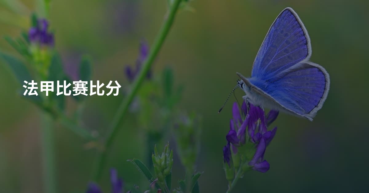 法甲比赛比分