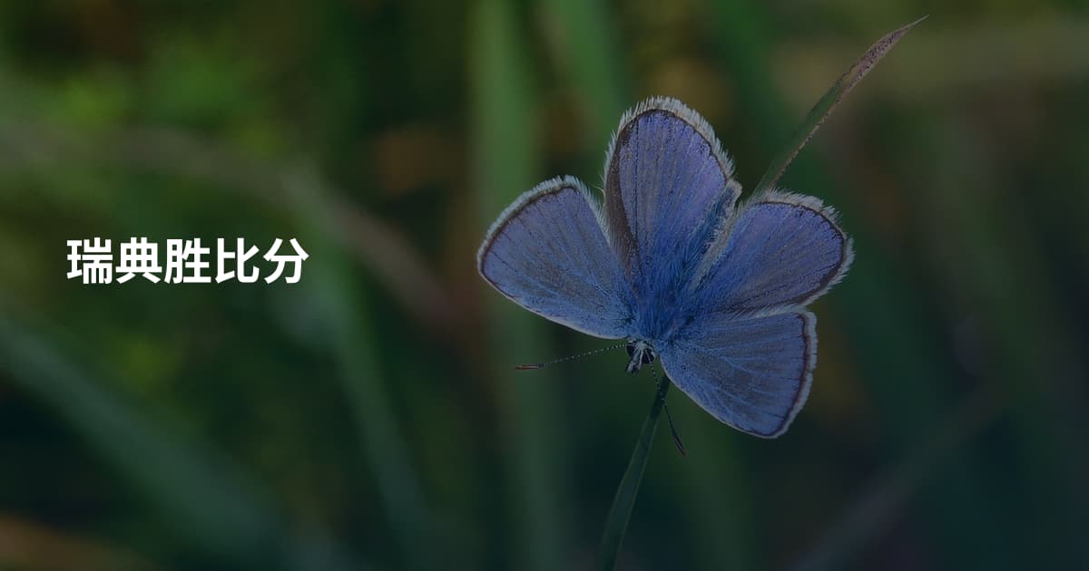 瑞典胜比分