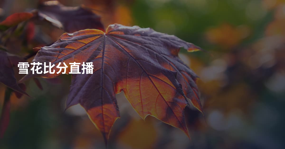雪花比分直播