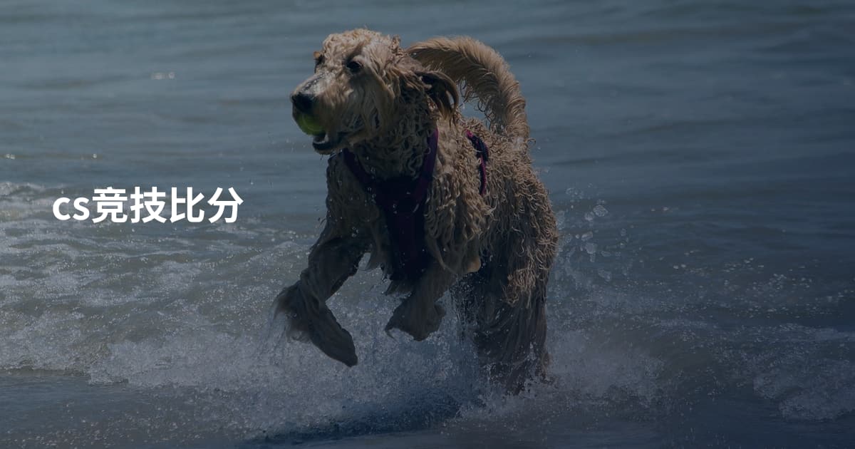 cs竞技比分
