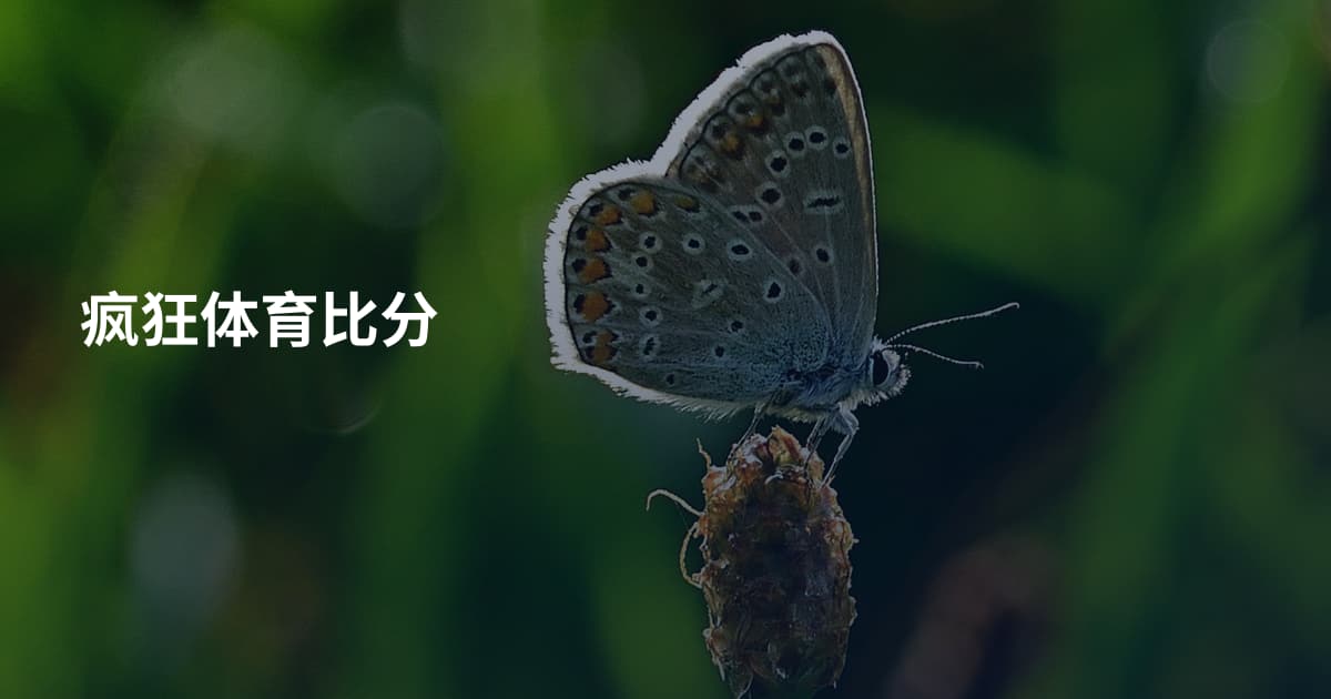疯狂体育比分