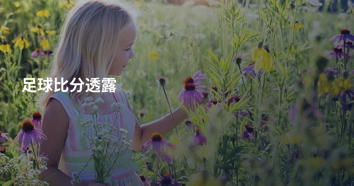 足球比分透露