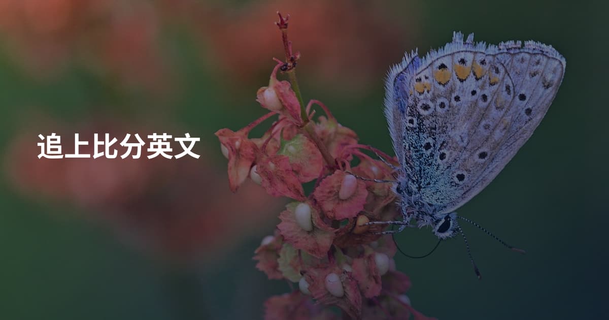追上比分英文