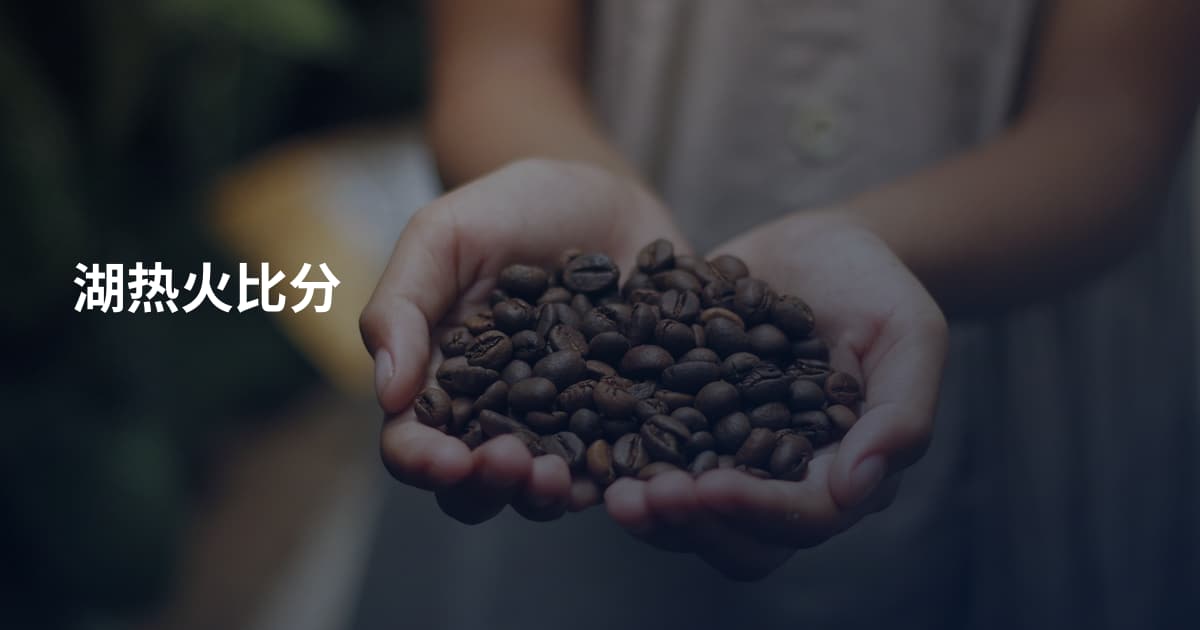湖热火比分