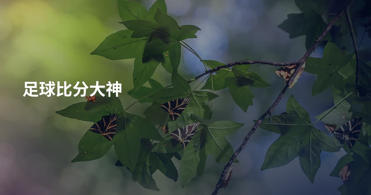 足球比分大神