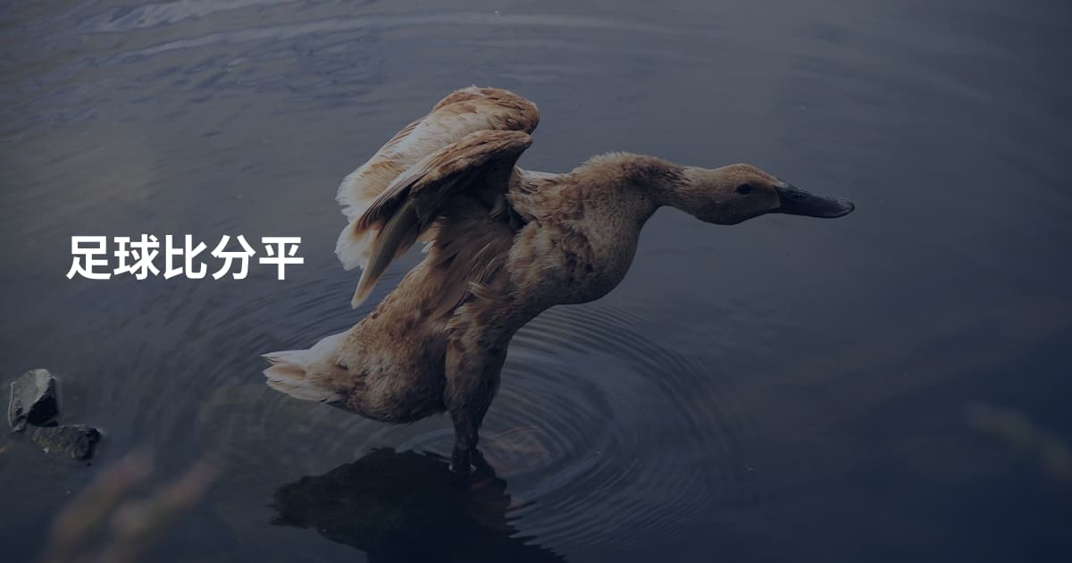 足球比分平