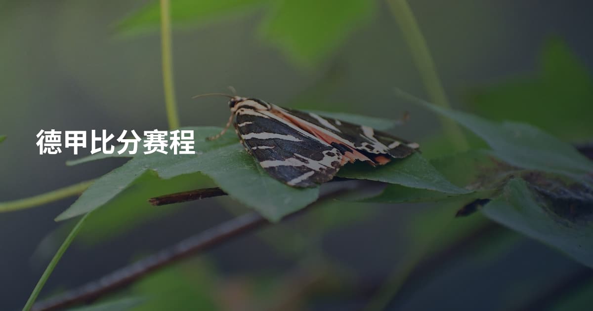 德甲比分赛程