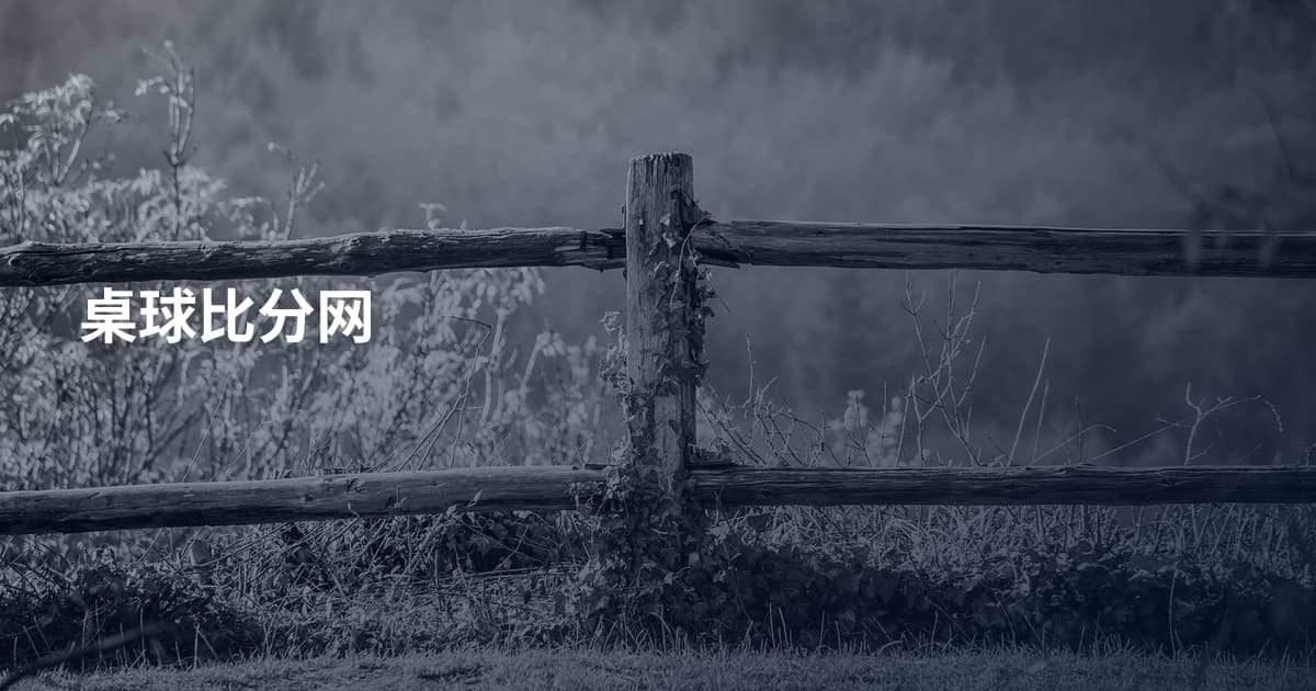 桌球比分网