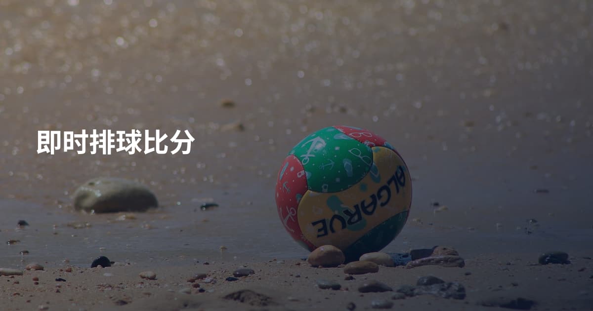 即时排球比分