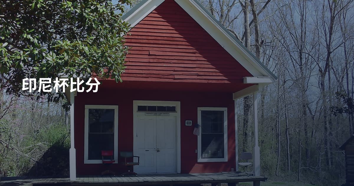 印尼杯比分