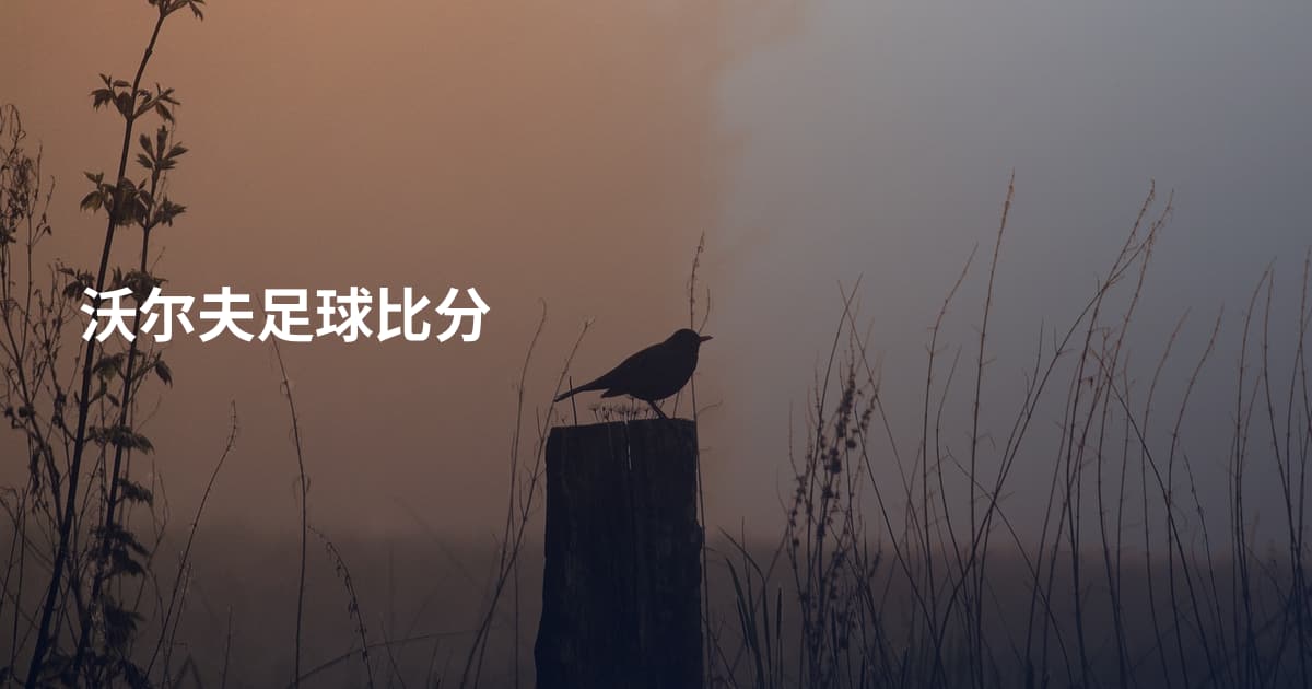 沃尔夫足球比分