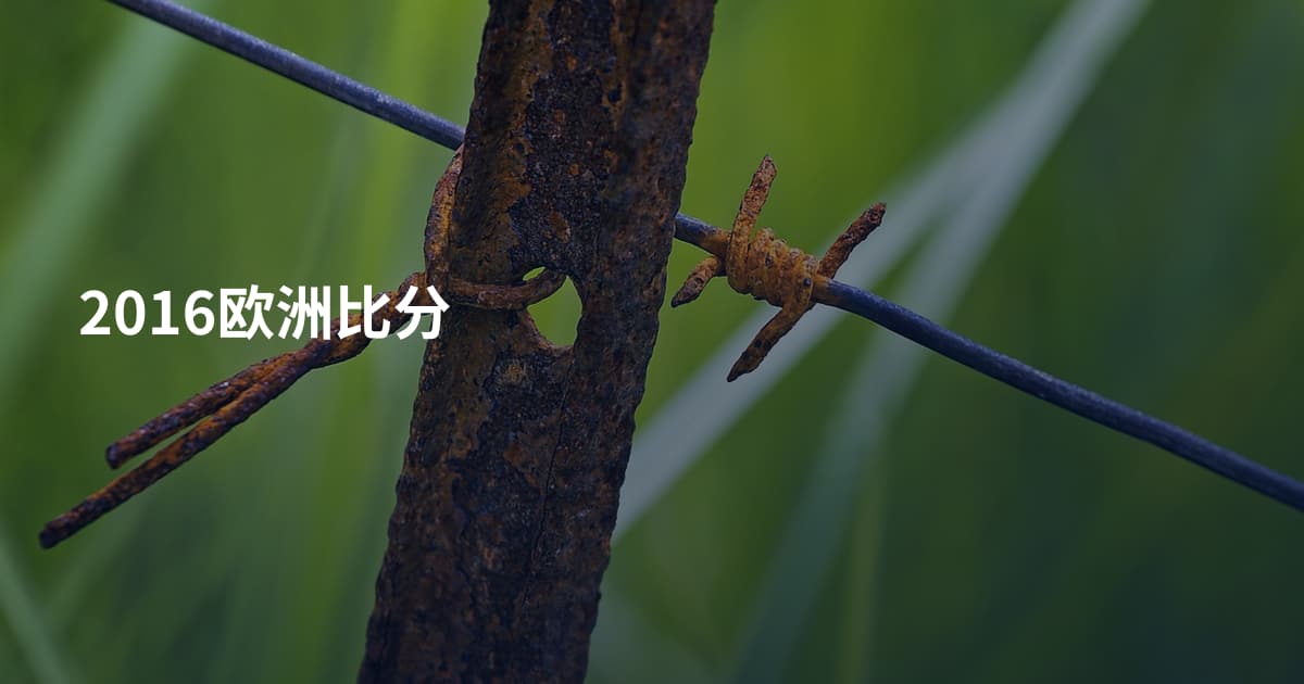 2016欧洲比分