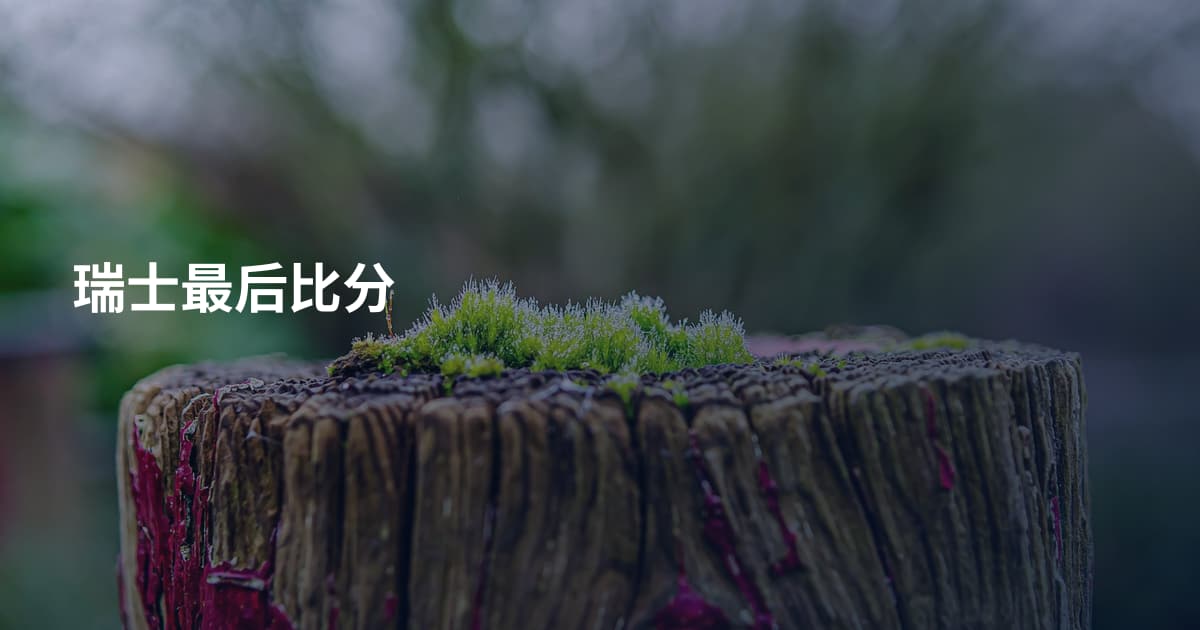 瑞士最后比分