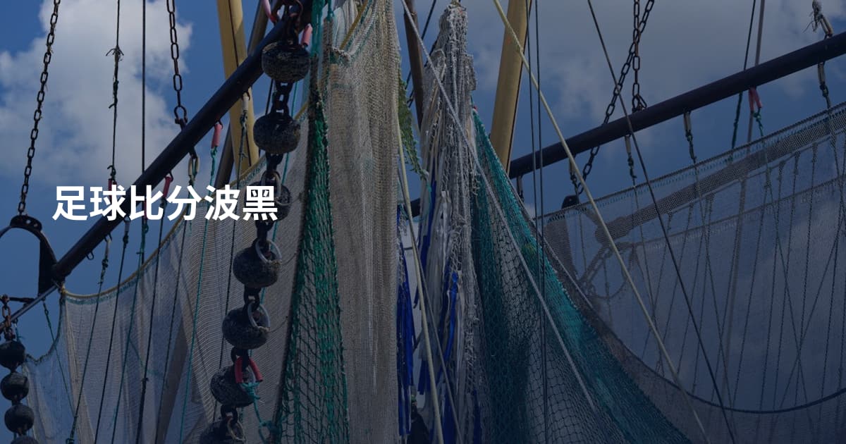 足球比分波黑