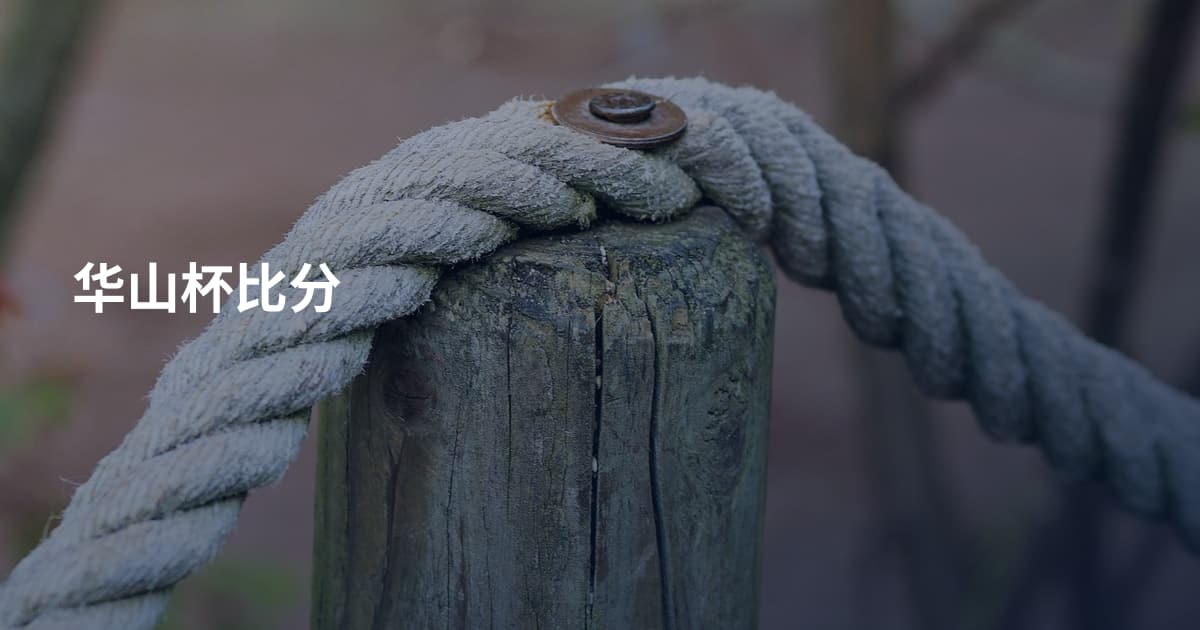 华山杯比分