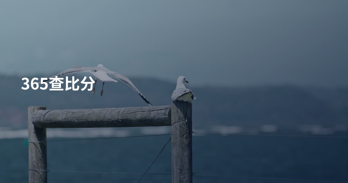 365查比分