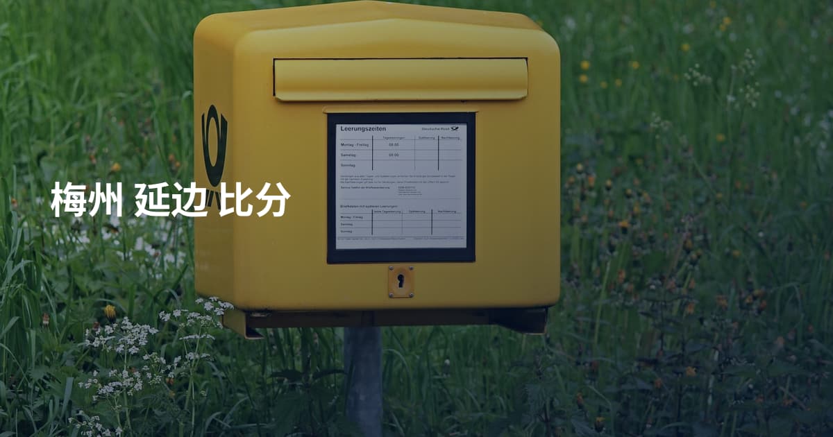 梅州 延边 比分