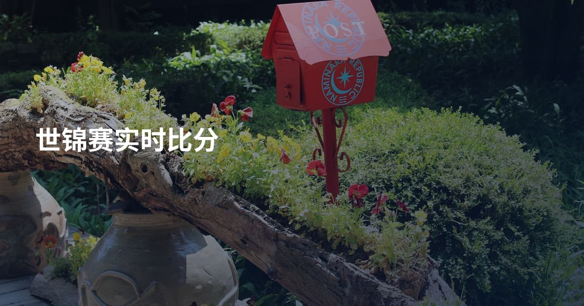 世锦赛实时比分