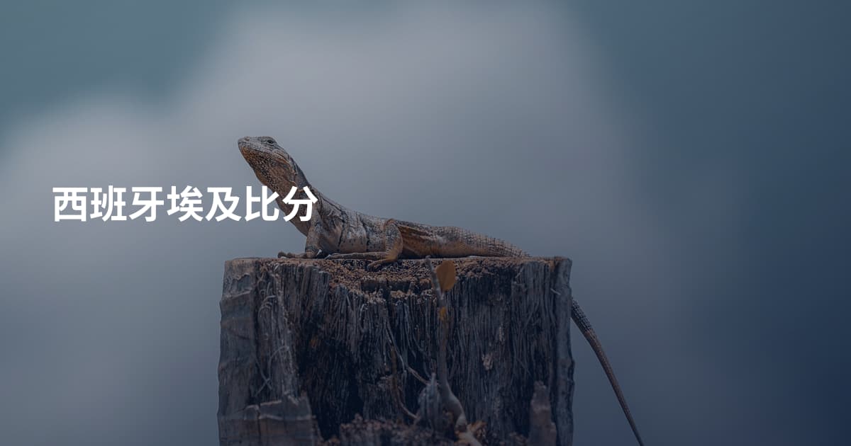 西班牙埃及比分