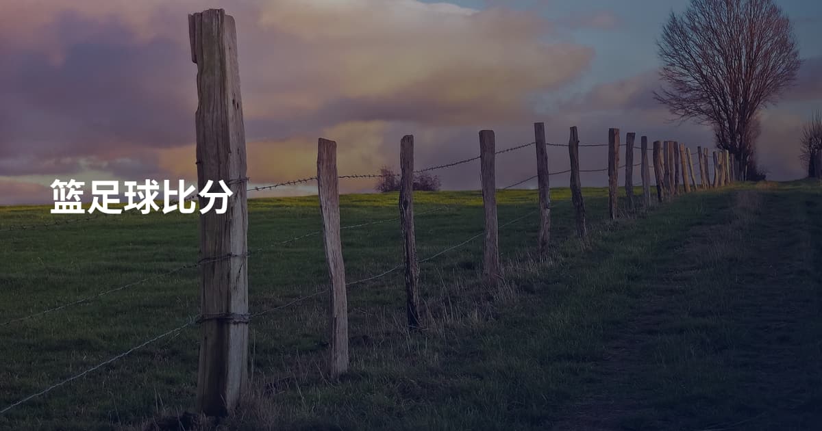 篮足球比分