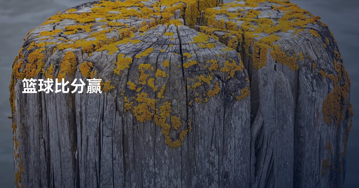 篮球比分赢