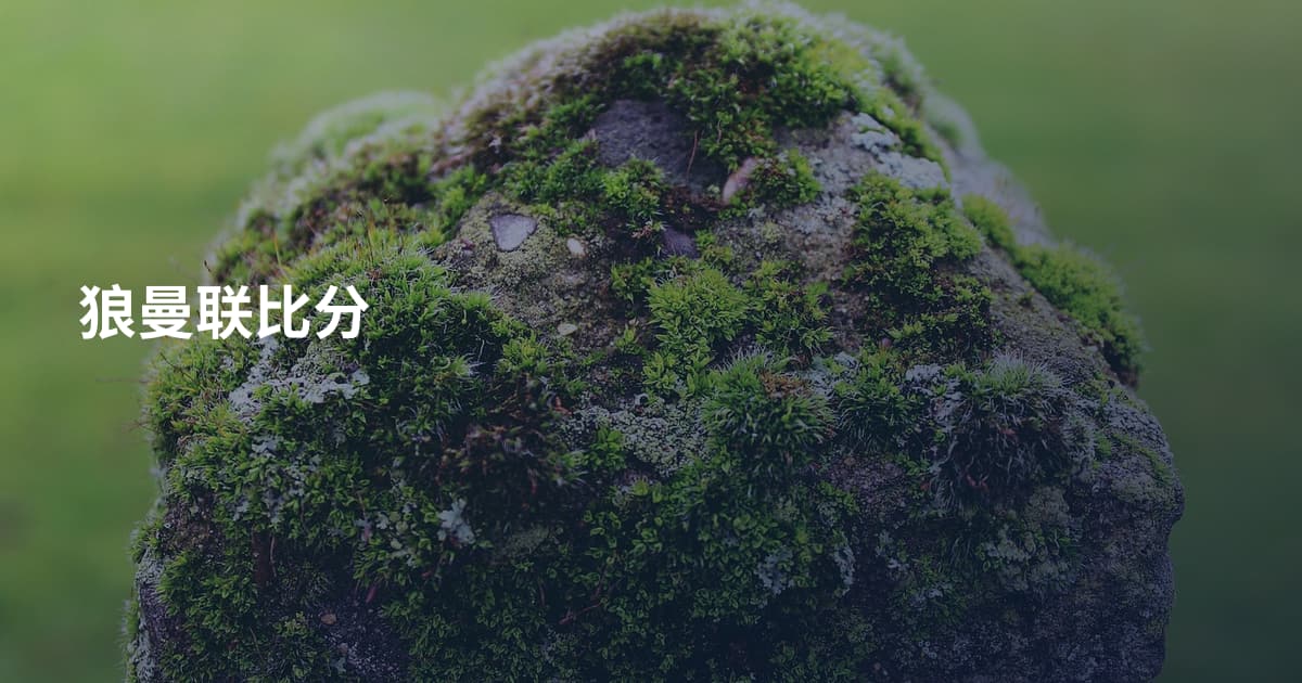 狼曼联比分