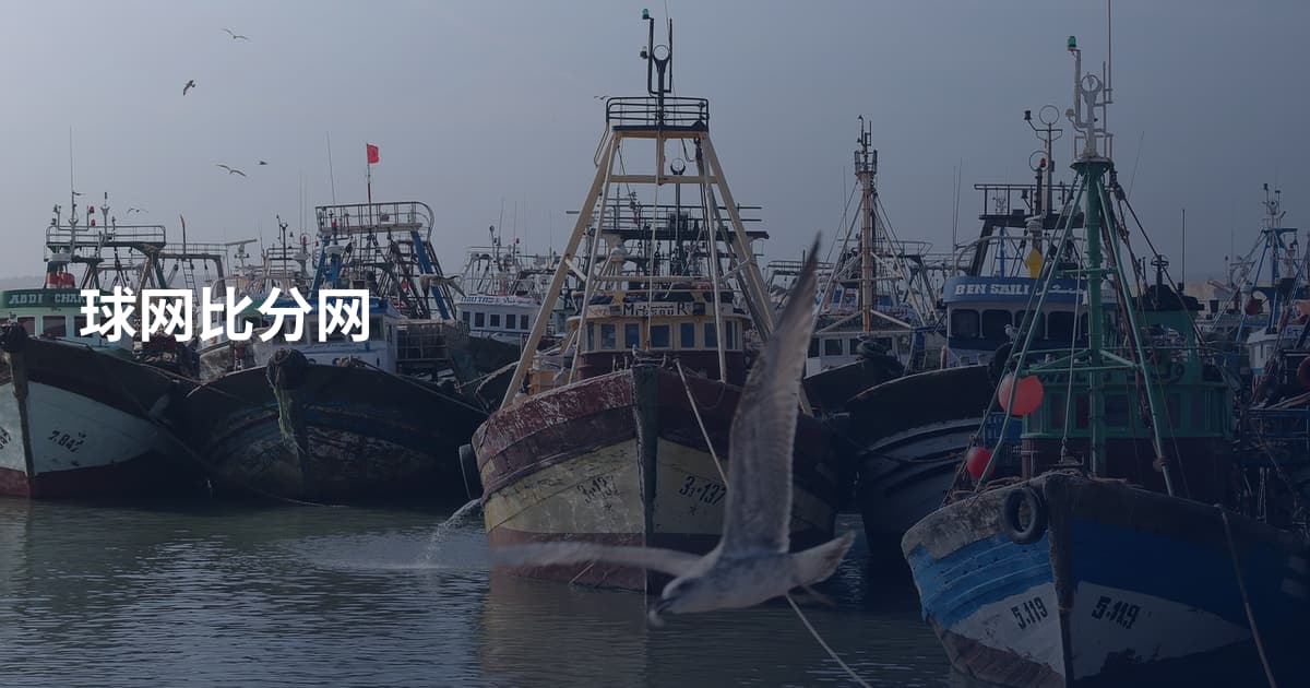 球网比分网