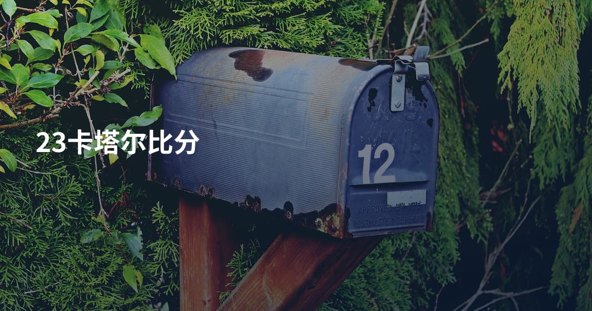 23卡塔尔比分