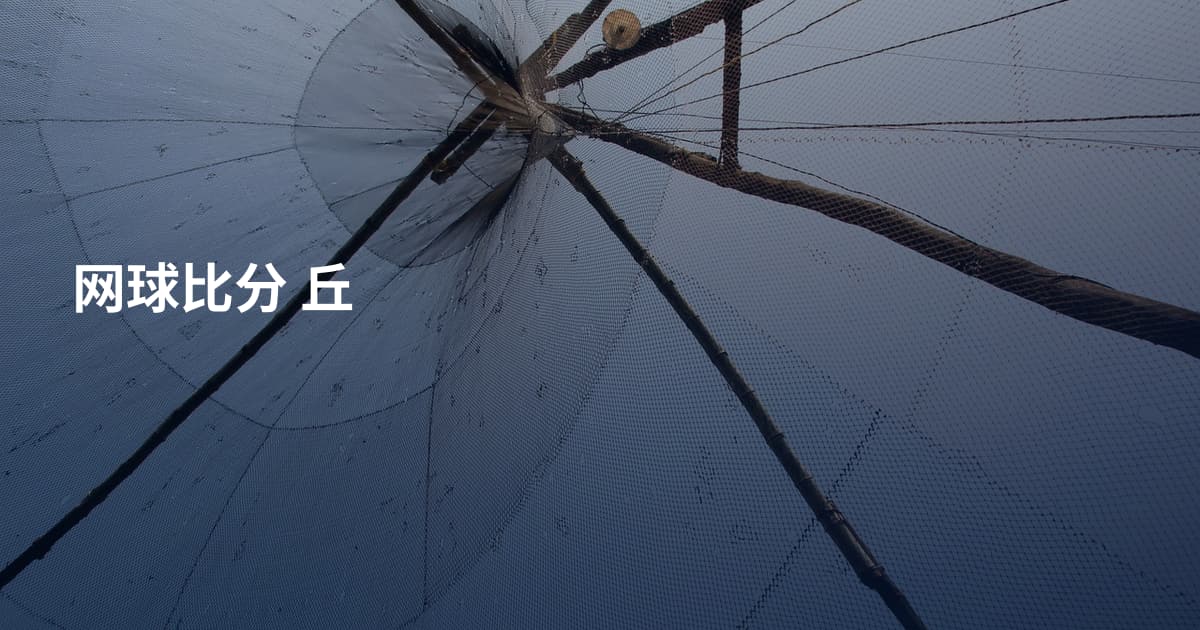 网球比分 丘