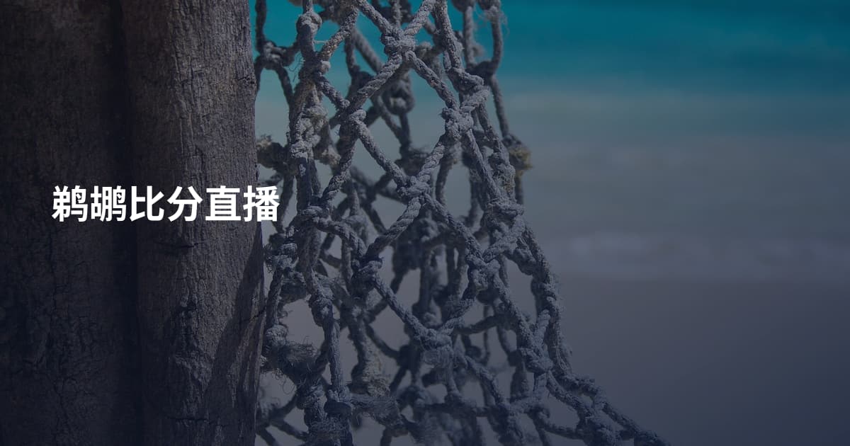 鹈鹕比分直播