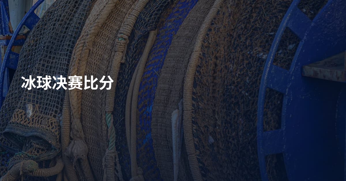 冰球决赛比分