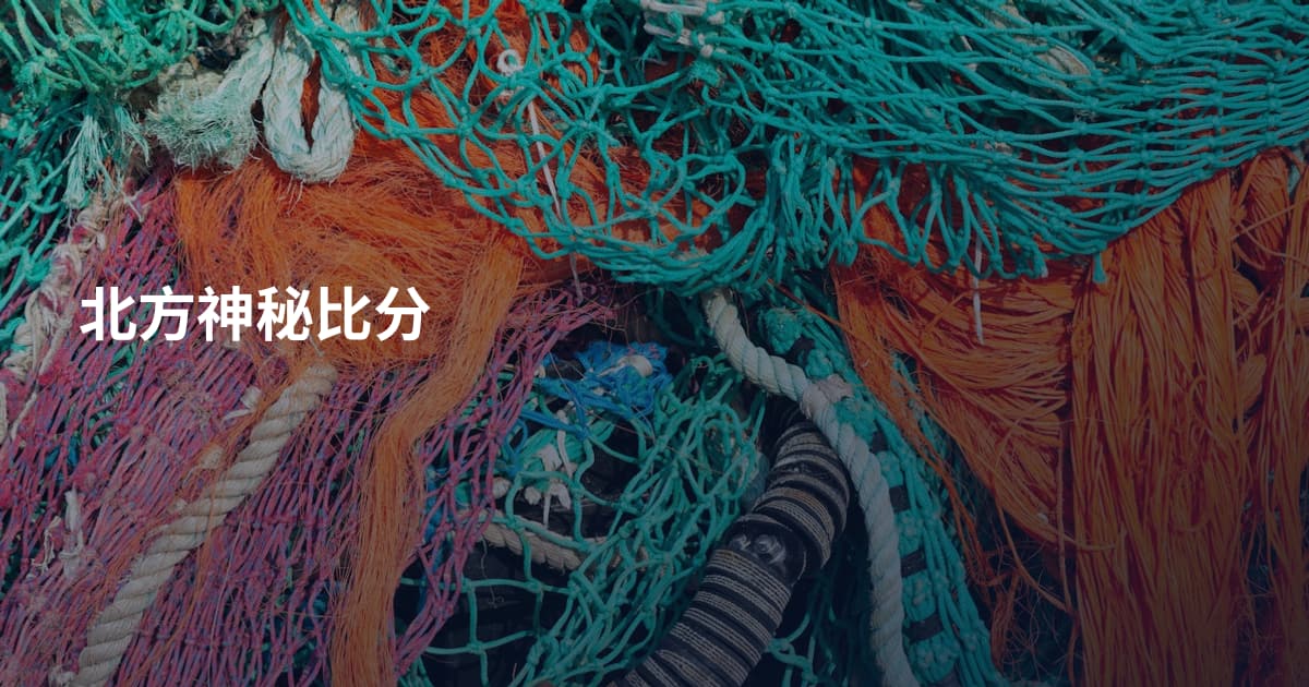 北方神秘比分