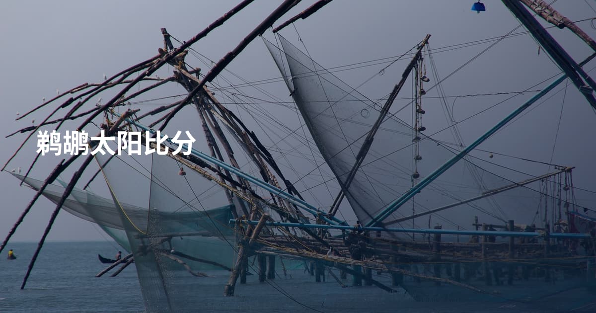 鹈鹕太阳比分