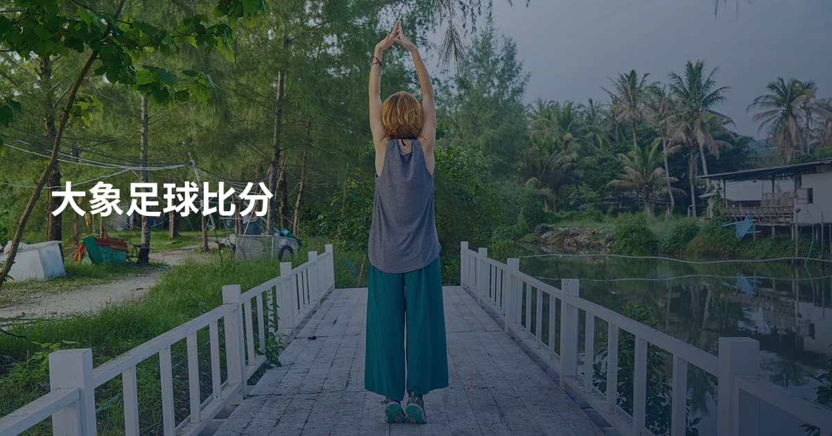 大象足球比分