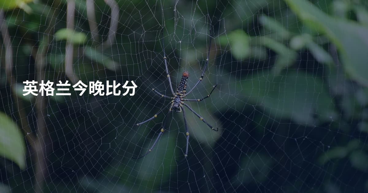 英格兰今晚比分