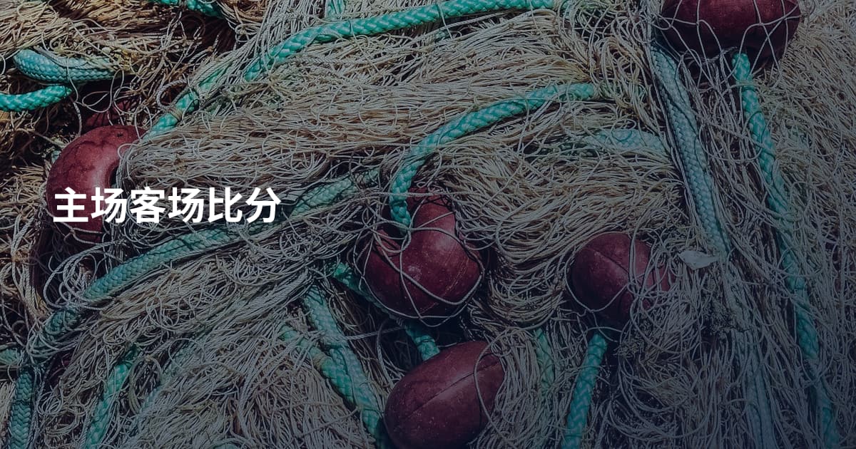主场客场比分