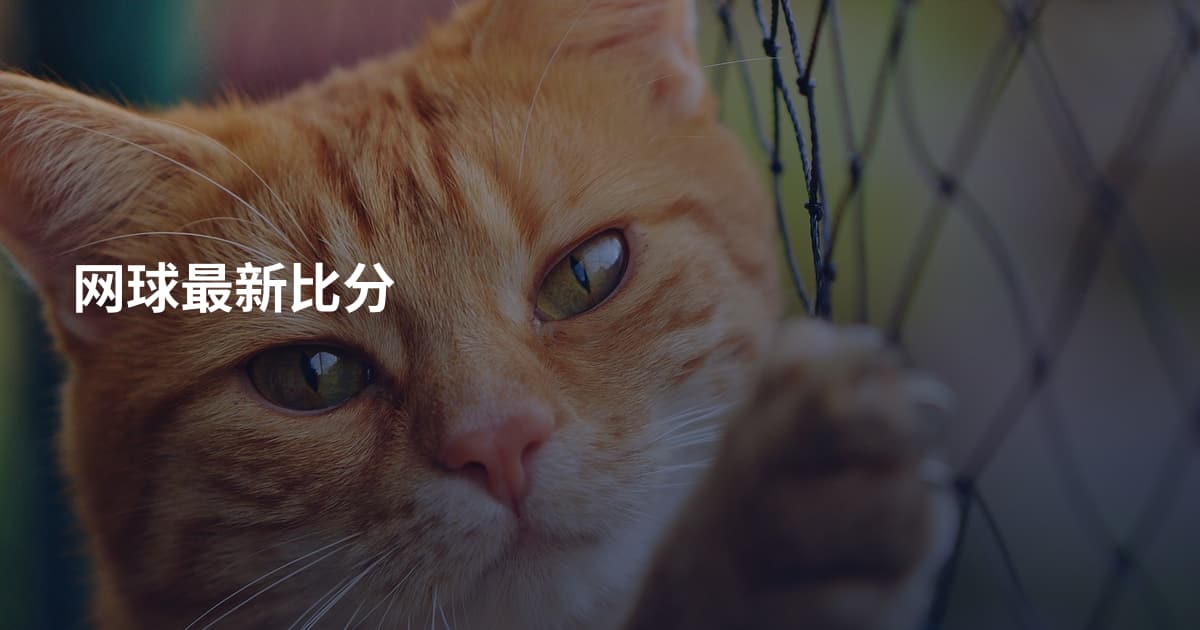 网球最新比分