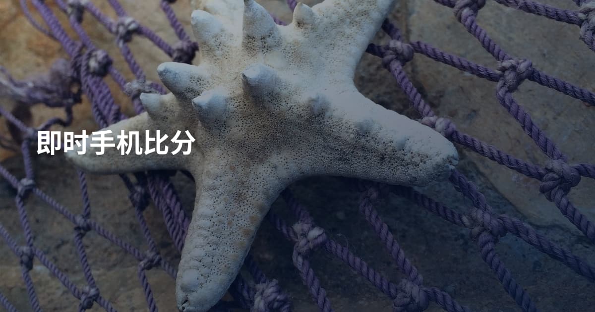 即时手机比分