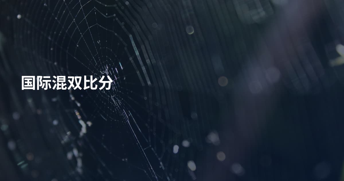 国际混双比分