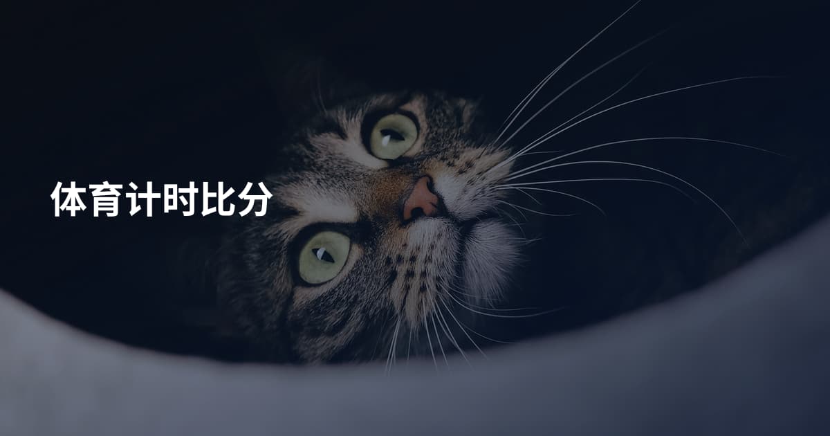 体育计时比分