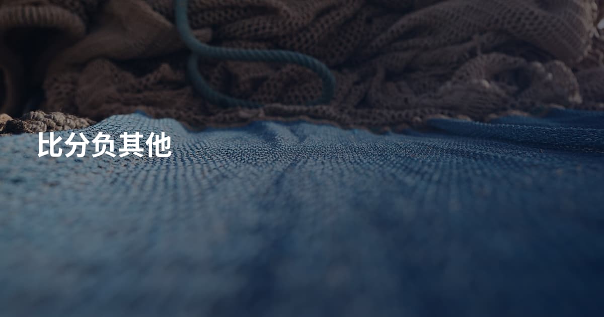 比分负其他