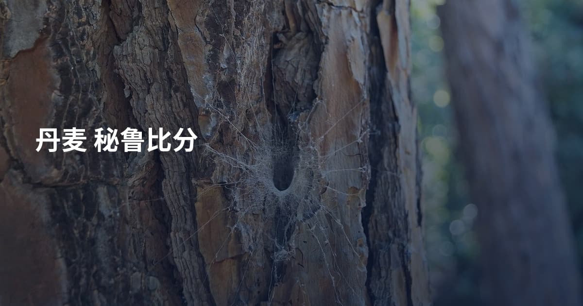 丹麦 秘鲁比分